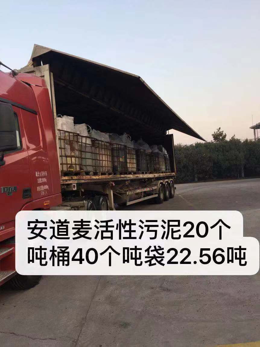 活性污泥